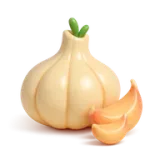 Garlic Extract / Allicin — Incasol botanical active