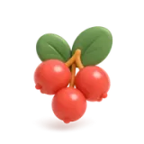 Hawthorn Berry Extract — Incasol botanical active