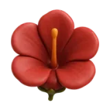 Hibiscus Sabdariffa Extract — Incasol botanical active