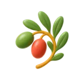 Olive Leaf Extract, 20% Oleuropein — Incasol botanical active